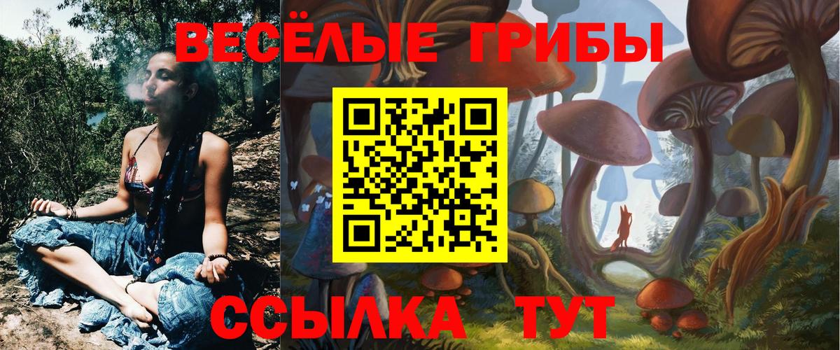 Псилоцибиновые грибы GOLDEN TEACHER Благодарный