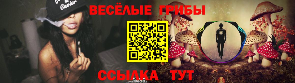 Псилоцибиновые грибы Magic Shrooms Благодарный