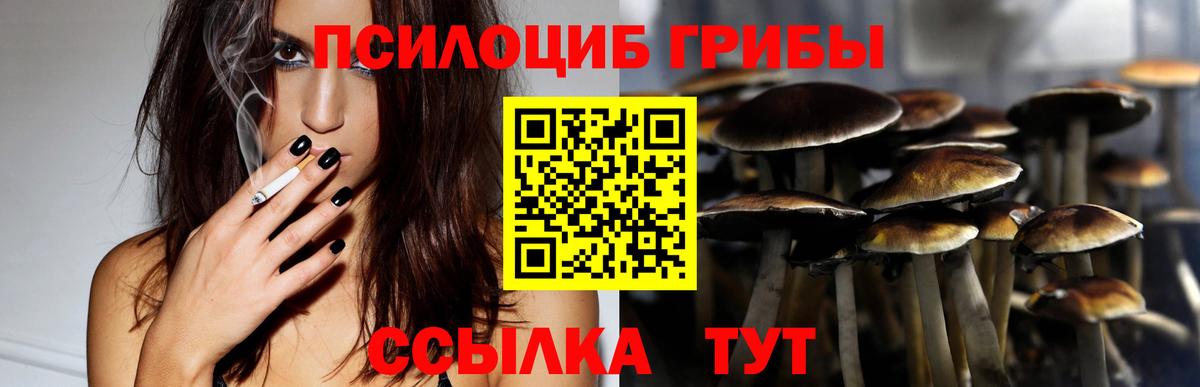 Канабис  COCAIN  Меф кристаллы  Благодарный  Марихуана  Кокаин  Мефедрон   Гашиш 