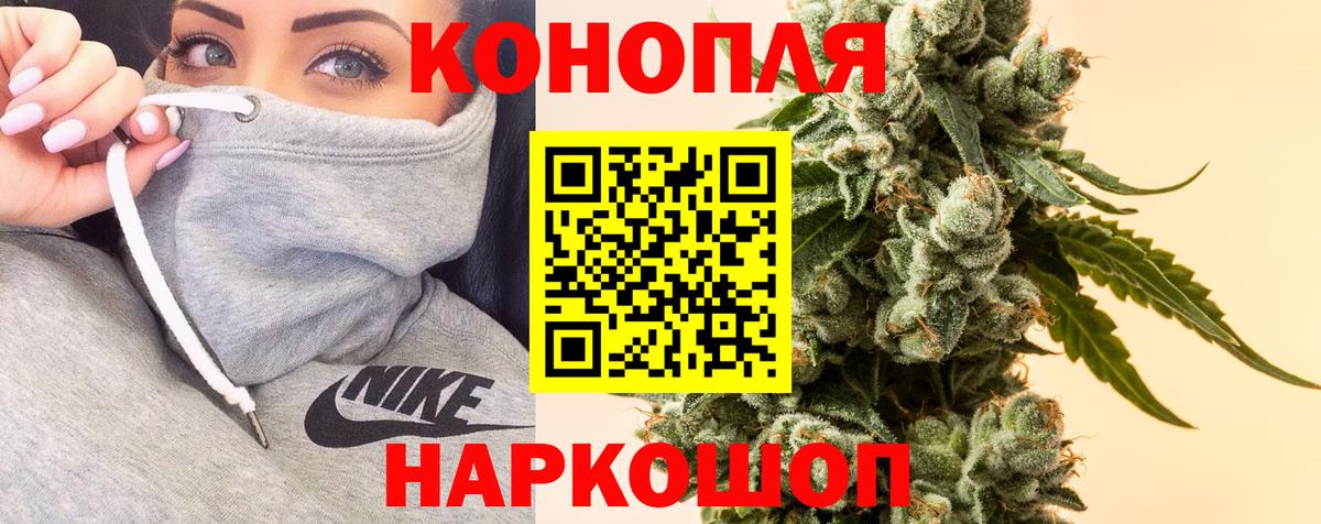 Шишки марихуана White Widow  Шишки марихуана семена  Канабис OG Kush  Благодарный  Бошки Шишки Bruce Banner 